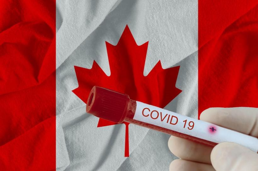 Canadian Snowbirds Flying Back to Canada Now Require a Negative COVID Test