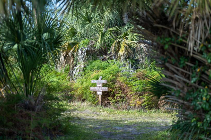 Beautiful Punta Gorda and Eglewood Beach for Canadian Snowbirds