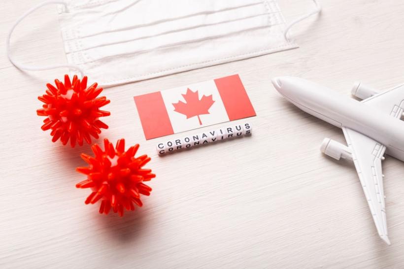 Tips for Canadian Snowbirds Who are Considering Travelling During COVID-19