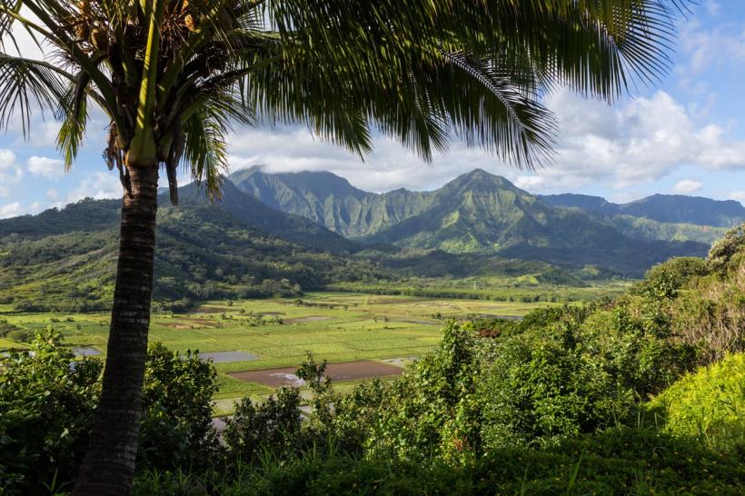 Hawaii is a beautiful place for Canadian snowbirds