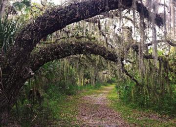 Mayaaka River State Park