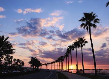 Ringling Bridge