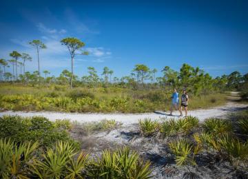 Coastal Hiking