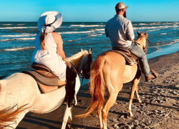 Horses on the Beach