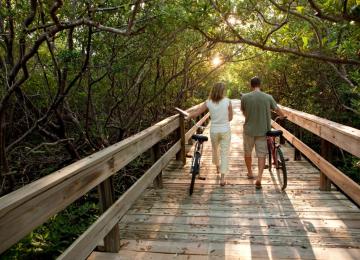 Boardwalk