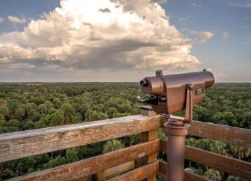 Myakka River State Park