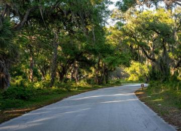 Oscar Scherer State Park