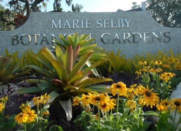 Selby Gardens