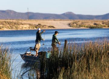 Fishing - Comins Lake