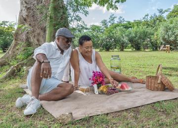 Picnic