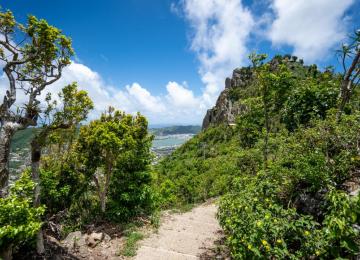 Hiking