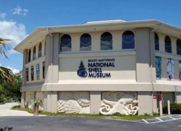 Shell Museum