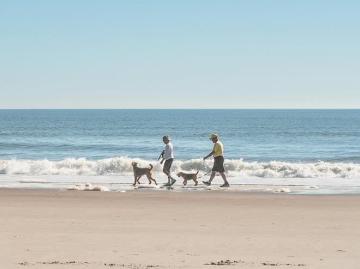 Dog-friendly beaches in Amelia Island