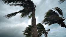 Hurricane and Flood Insurance Tips for Canadian Snowbirds