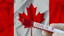 Canadian Snowbirds Flying Back to Canada Now Require a Negative COVID Test