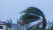 Hurricane Milton Update for Snowbirds